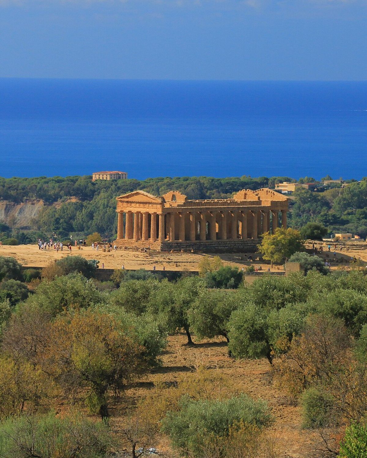 Agrigento, Live Sketch Artist in Agrigento