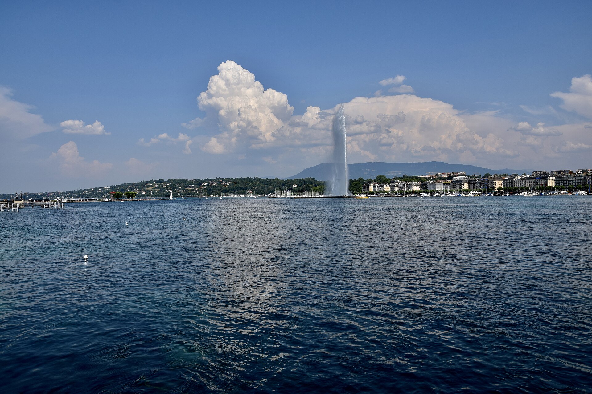Geneva, Live Sketch Artist in Geneva
